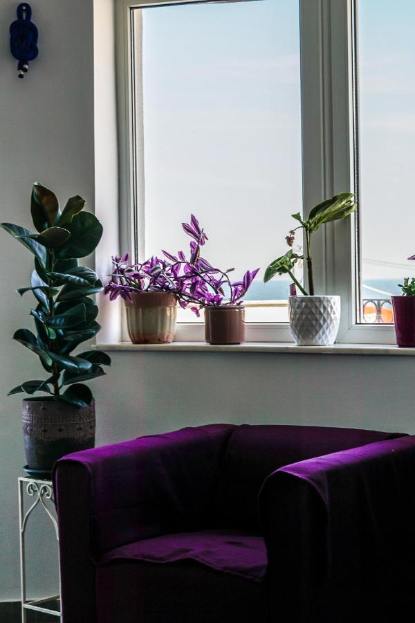 Vila Gladiola Eforie Nord Extérieur photo